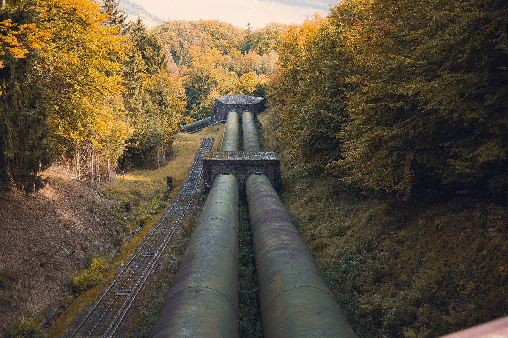 Twin steel pipelines running through an autumn forest
